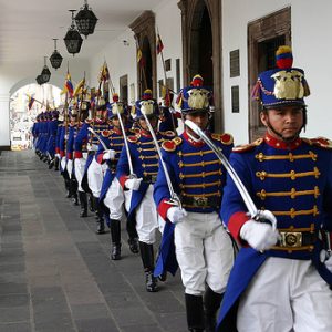 CAPITANÍA AZUL Y ROJO ADULTO